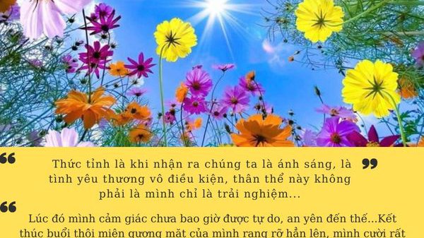 CAN ĐẢM SỐNG THẬT VỚI CẢM XÚC CỦA BẢN THÂN